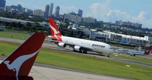 格斯齐最新爆料包机,揭秘包机背后的惊人真相！